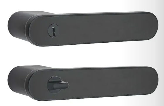Buy Indoor Door Lock Handle Surface Mounted Installation Convenient online manufacture