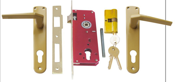Fermeture de porte à l'aide d'une serrure de mortise Installation facile Fonctionnement en douceur Fer et performances