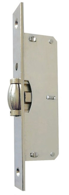 Fermeture de porte à serrure de mortise Adapté à différents types de portes Large compatibilité Fermeture à fermeture à glissière en acier / Zamak