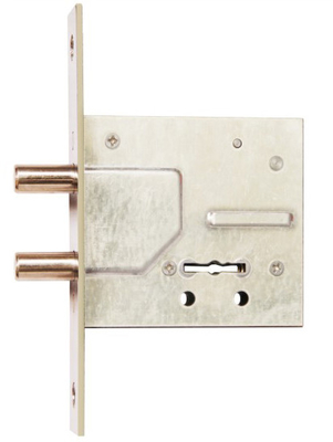 Erleben Sie eine unübertroffene Sicherheit mit unserem Mortise Key Lock Vielfalt an Funktionen