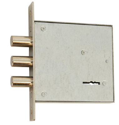 Esthétique CP Finition Multipoint Mortise Locka Pour Deadlatch Petit verrou de mortice