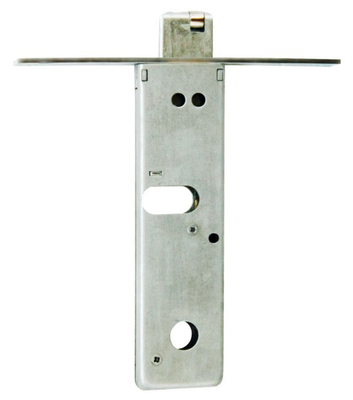 Fermeture de porte en aluminium de style européen Différents modèles Fermeture de porte en fer montée en surface avec dossier B et finition CP