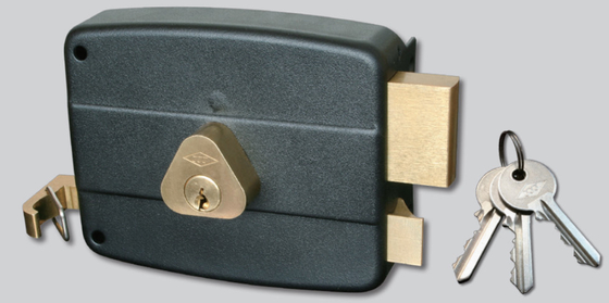 Surface de verrouillage de porte de bordure montée en fer de qualité A Installation simple Compatibilité avec plaque de frappe