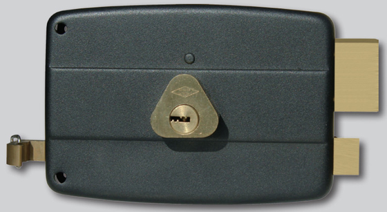 Fermeture de porte à jantes Fermetures de porte domestiques avec surface - conception montée et plaque de frappe incluse