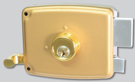 Fermeture de porte à clef en fer standard pour une sécurité de porte efficace et sans effort
