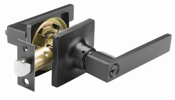 Différentes variétés de styles pour 60 mm - 70 mm de verrouillage de levier tubulaire de remontage