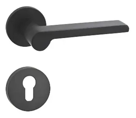 Facilité d'installation Serrure de porte de chambre à gérer le style moderne avec la surface montée