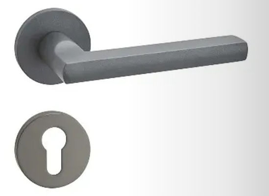 Manche de serrure de porte intérieure de style moderne