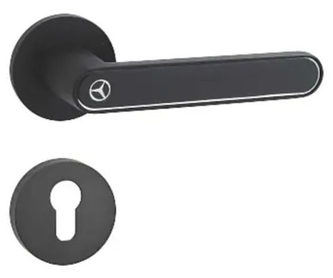 Single Type Modern Style Door Lock Handle with Surface Mounted Installation